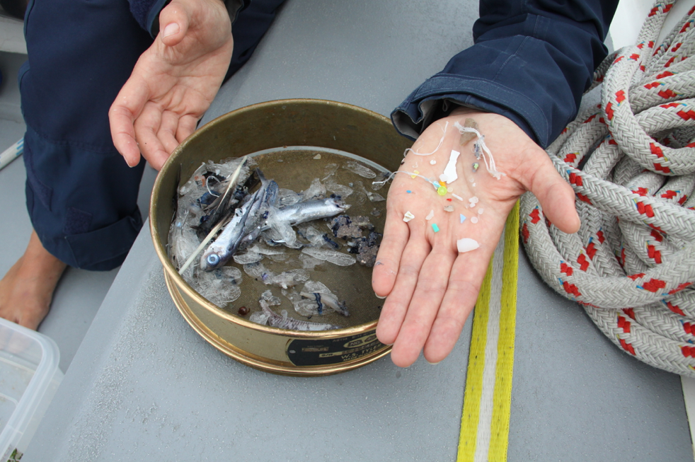 Microplastic GPGP